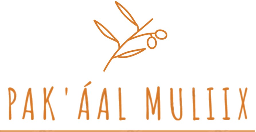 Pakaal Muliix Logo