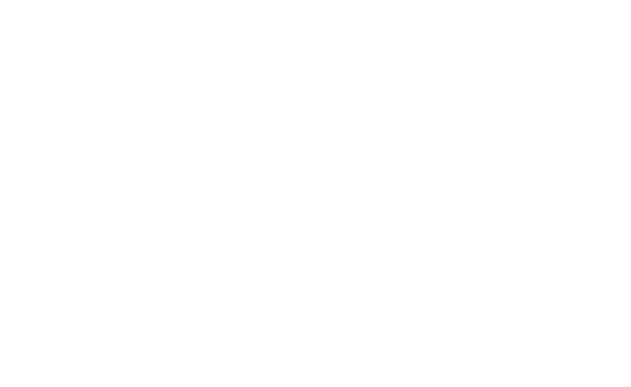 Pakaal Muliix Logo Footer