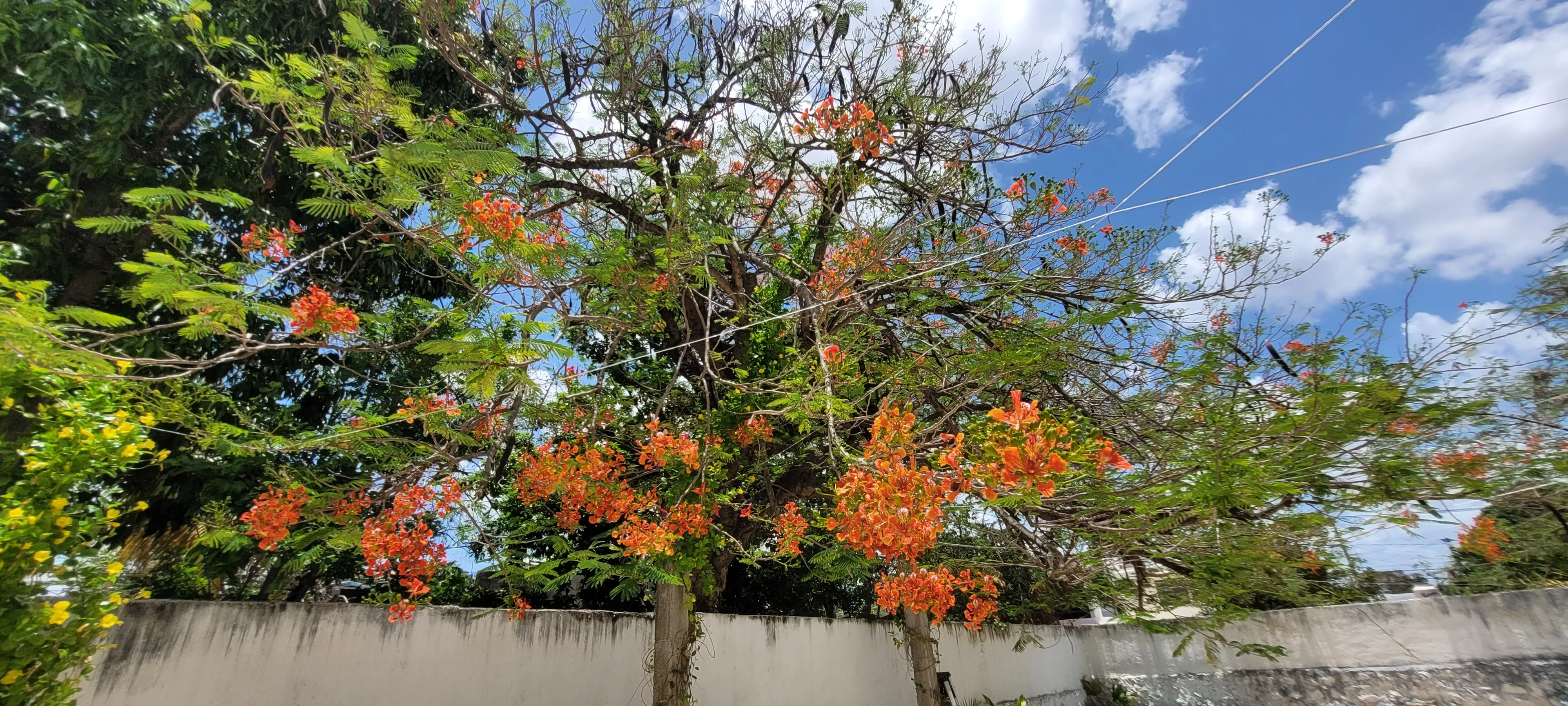 Área común o terraza